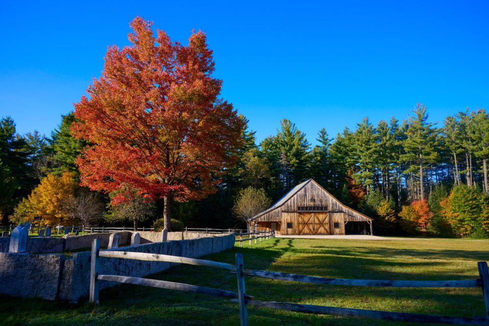 Wooden barn in the distance with green trees and a blue sky above. There is a firey red tree on the left, midground with a small cemetery in the left, foreground.