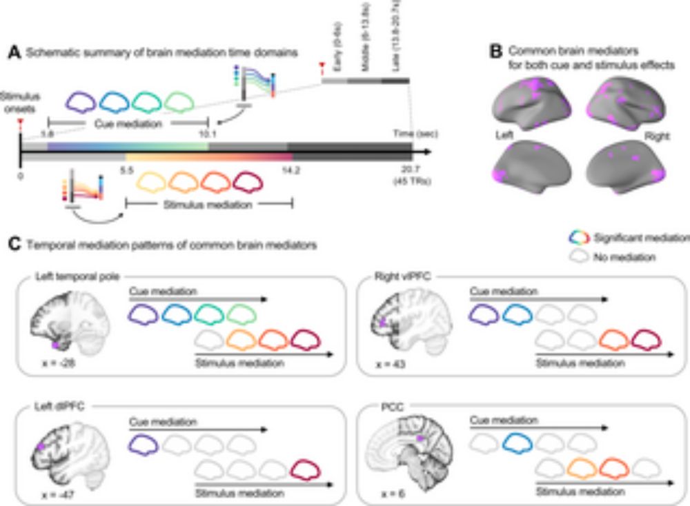 When we experience pain, the sensory input is modulated by contextual information. This neuroimaging study shows how expectation and sensory input are integrated in the human brain during pain percept...