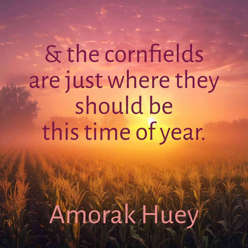 & the cornfields are just where they should be
this time of year.
Amorak Huey