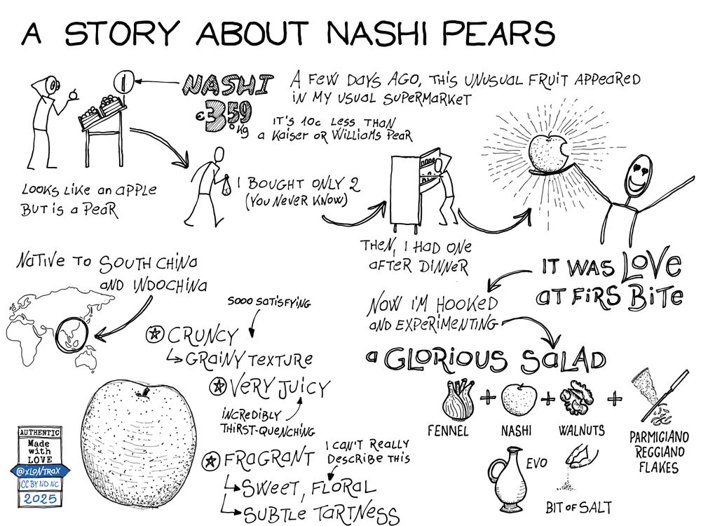 A hand-drawn sketchnote titled "A Story About Nashi Pears" with playful typography. The author describes discovering Nashi pears (apple-pear hybrids) at a supermarket for 10 cents each. Key traits are highlighted in a list: "Grainy texture," "Very Juicy," "Thirst-Quenching," "Floral," and "Subtle Tartness." Below, a recipe idea features a salad with Nashi, fennel, walnuts, olive oil, and Parmesan flakes. Doodles of pears and annotations convey excitement, ending with "It was love at first bite.