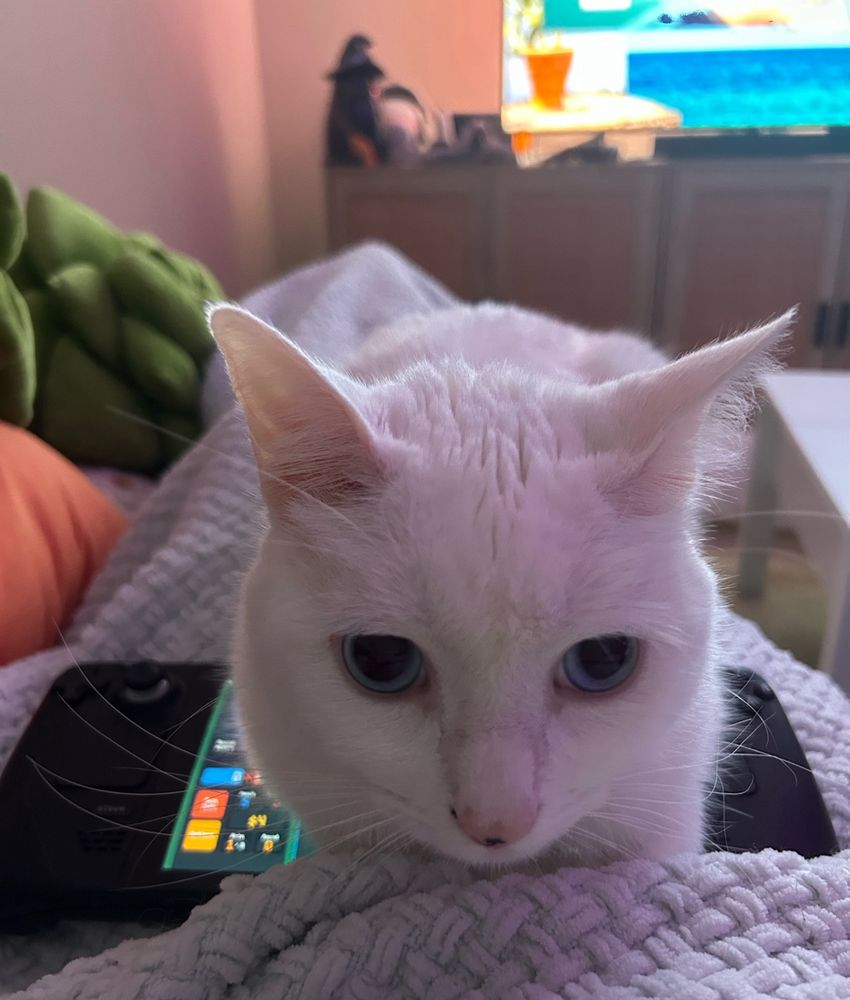 Cat laying on top of Steam Deck