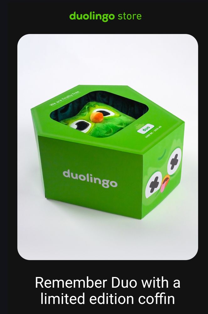 An image of a plush Duo owl mascot in a bright green cardboard coffin.