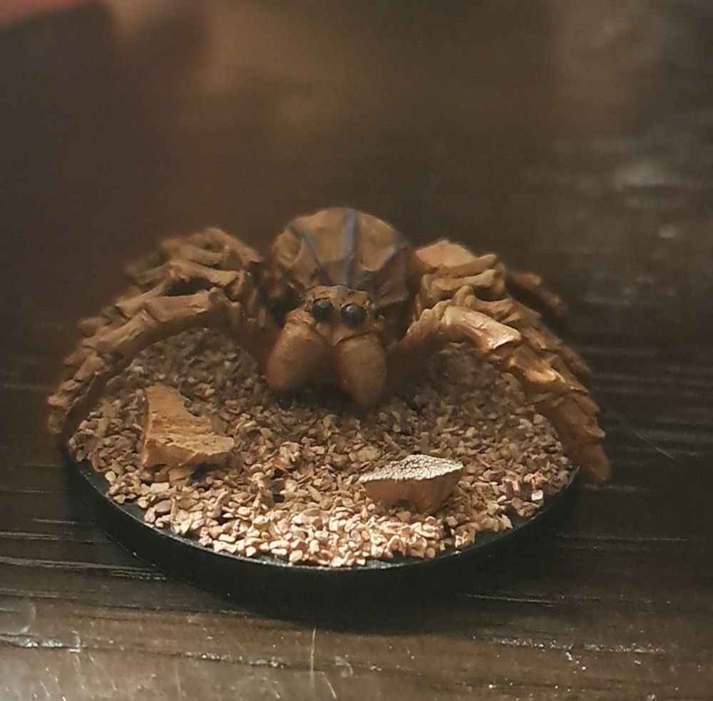 A brown and orangish spider  miniature with purple stripes on its back.  Its standing on a gravely and rocky base.