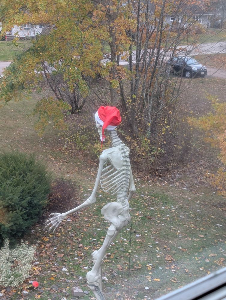 A skeleton in a Santa hat, seen from above.