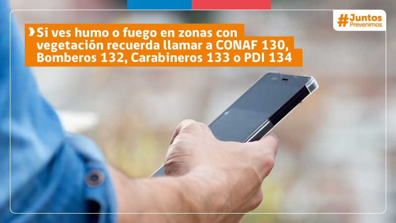 Si ves humo o fuego en zonas con vegetación, llama a uno de los siguientes organismos:
- CONAF (130) 
- Bomberos de Chile (132) 
- Carabineros de Chile (133) 
- Policía de Investigaciones (134)