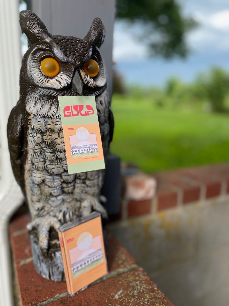 Gulp bookmark (comes with the Gulp tape)