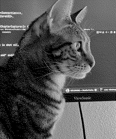 dithered 1-bit black-and-white side profile photo of roel the cat with a screen behind her