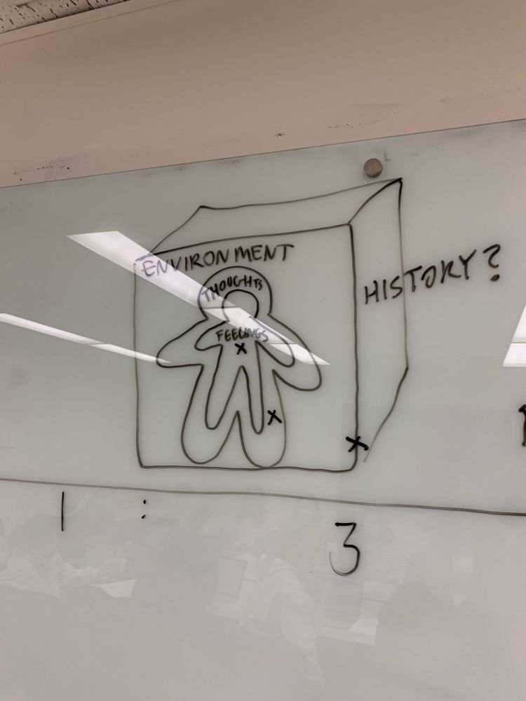 white board drawing of a misshapen body labeled “FEELINGS” within a larger body shape labeled “THOUGHTS” within a square labeled “ENVIRONMENT” within a cube labeled “HISTORY?”