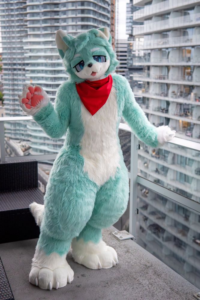 mint fullsuit