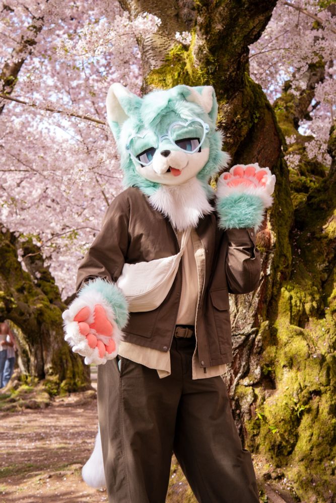 mint furry dog with cherry blossoms
