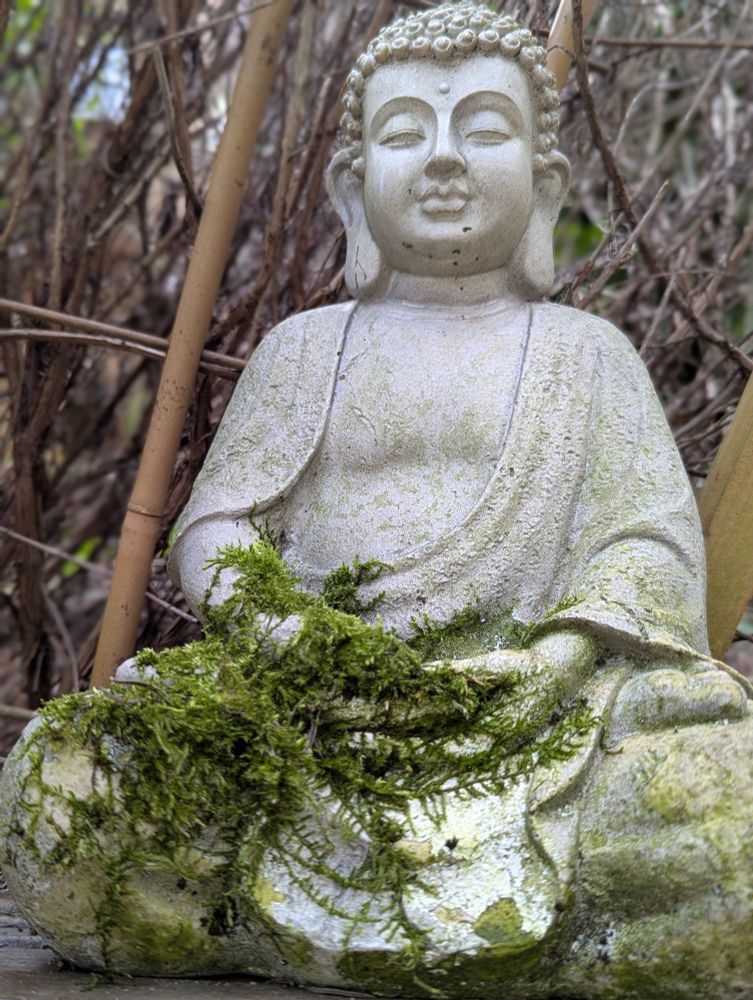 Buddha 