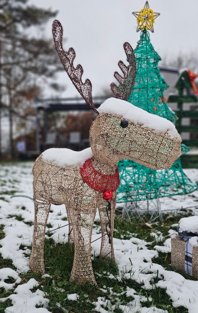 Moose decoration in snow 