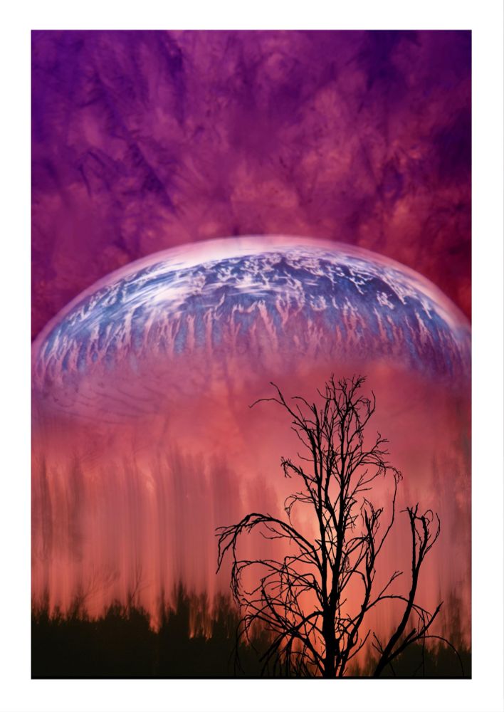 a composite image with several sections ... from the botom - the first is a silhoutte of a dead tree against a blurry treeline against a sunset orange pink. Reminescent of bushfire.  The middle section is an image of a blue myshroom cap (mycena interrupta) that has a striking resembkance to earth viewd from space clouds and all. The tip section is armageddon orange and purple to near black texture tgaf gives the imoression of clouds