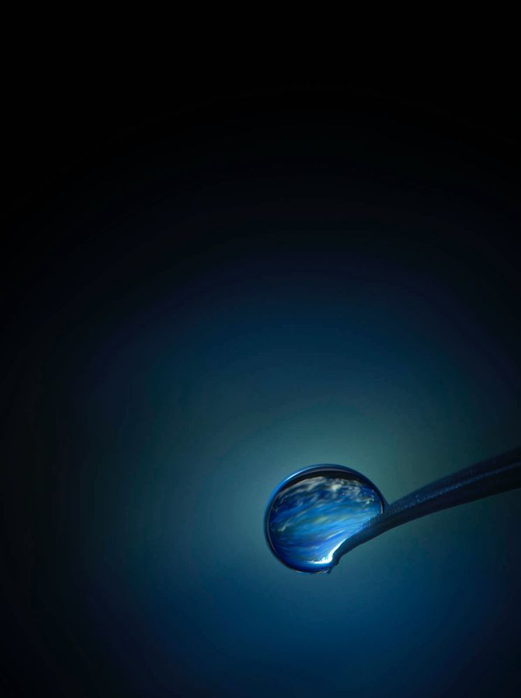 a drop of water that looks suspiciously like earth from space sits on the tip of a petal against a dark background