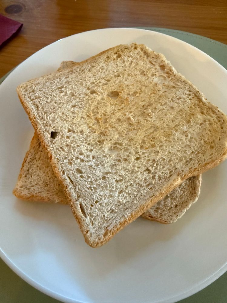 Two pieces of plain toast