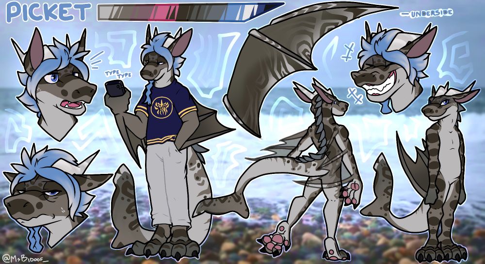 Reference sheet of a dragon/leopard shark hybrid. Three full body poses, one with clothes and three expressions. Happy, concerned, and tired/grumpy.