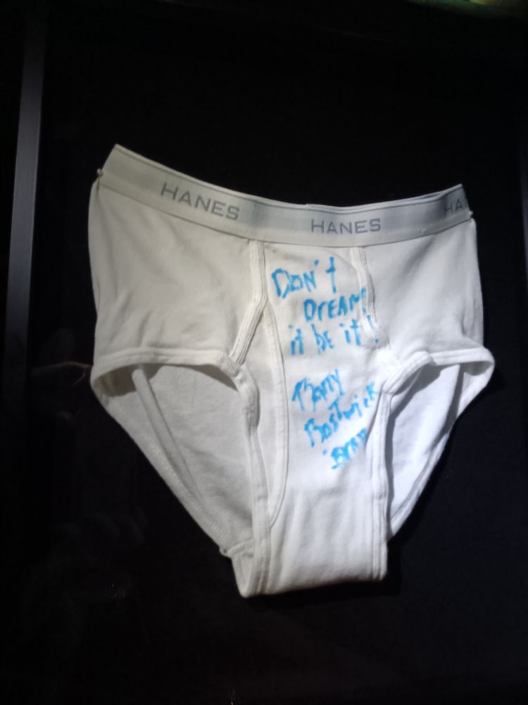 A pair of tightie whities (men's underwear briefs) that says "Don't dream it, be it" and signed by Barry Bostwick, the actor for Brad Majors in Rocky Horror Picture Show