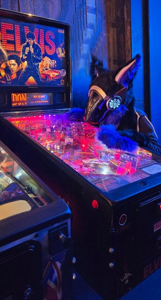 Photo of an interior room bathed in neon pink and blue light. A protogen fursuiter is resting their helmet on the illuminated display of a elvis pinball machine. The fursuit has blue and black fur, blue LEDs in the face and side panels and bronze and silver painted metallic plastics on the head.
