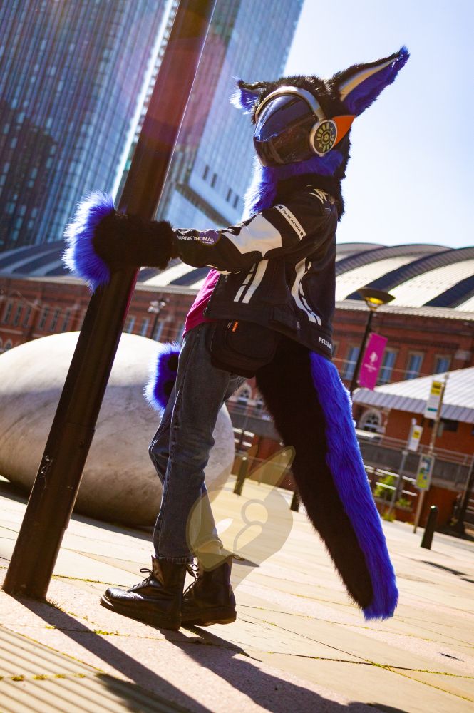 Alt: A photograph of a protogen fursuit.The fursuiter is wearing jeans, a pink t-shirt, black leather boots and a white and black motorcycle jacket. The fursuit blue and black fur, the head has a black visor and bronze and silver painted plastics as to look metallic. Long, thick raptor like tail with blue fur on top and black underneath. Black and blue paws and long ears, blue interior black exterior and silver ridge up the middle. The fursuiter is leaning against a telephone pole. In the background a blue sky, steel and glass skyscraper, red brick victorian building and a giant white rock which looks like an egg. 