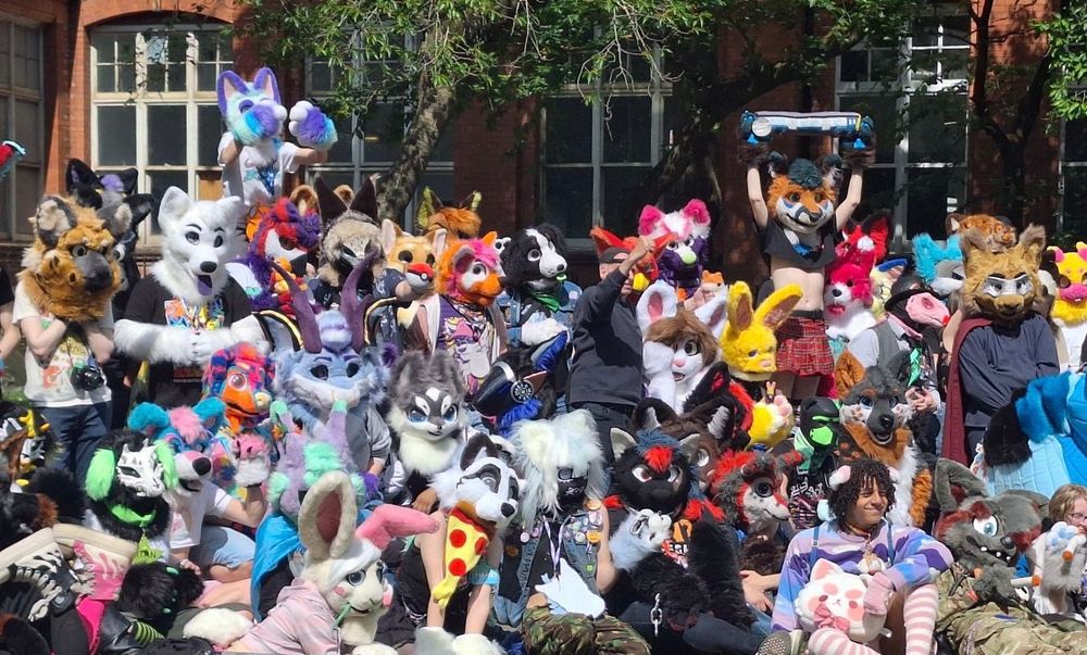 A crowd of furries of many styles and colours