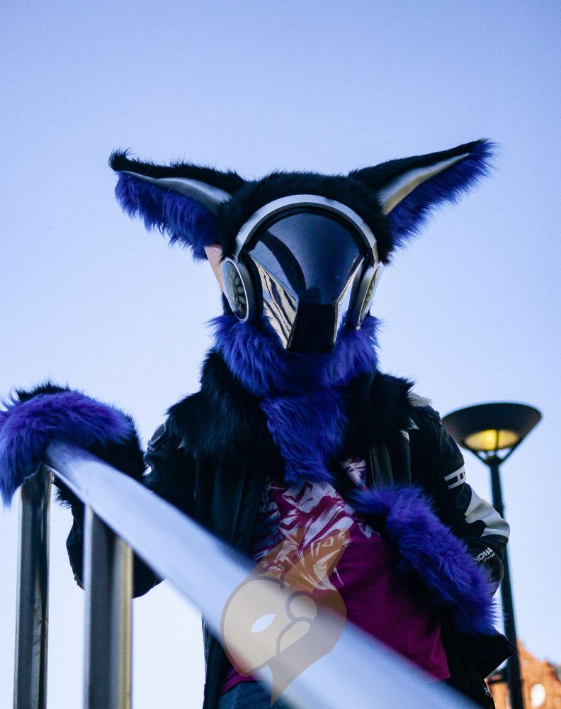 Photograph with grain taken from front and 1 meter below of a protogen partial fursuiter. The fursuit has black and blue fur, metallic bronze or silver paint on the helmet rim and fins.