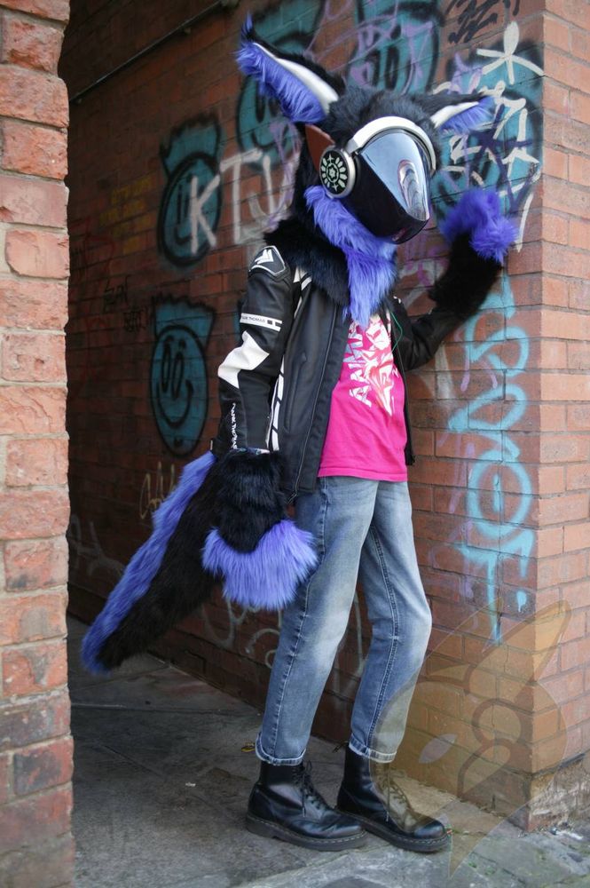 Photograph of a urban arch way with blue and pink tagging graffiti. A protogen fursuiter emerges from the archway 3/4 side shot and hand against the brick wall. The fursuiter is wearing jeans, a pink t-shirt, black leather boots and a white and black motorcycle jacket. The fursuit blue and black fur, the head has a black visor and bronze and silver painted plastics as to look metallic. Long, thick raptor like tail with blue fur on top and black underneath. Black and blue paws and long ears, blue interior black exterior and silver ridge up the middle. 