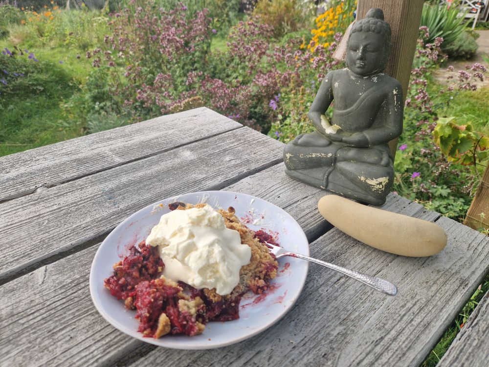 Pflaumenkuchen mit Sahne suf dem Gartentisch 