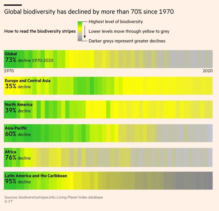 Grafik zeigt Rückgang der Biodiversität in verschiedenen Regionen der Welt 