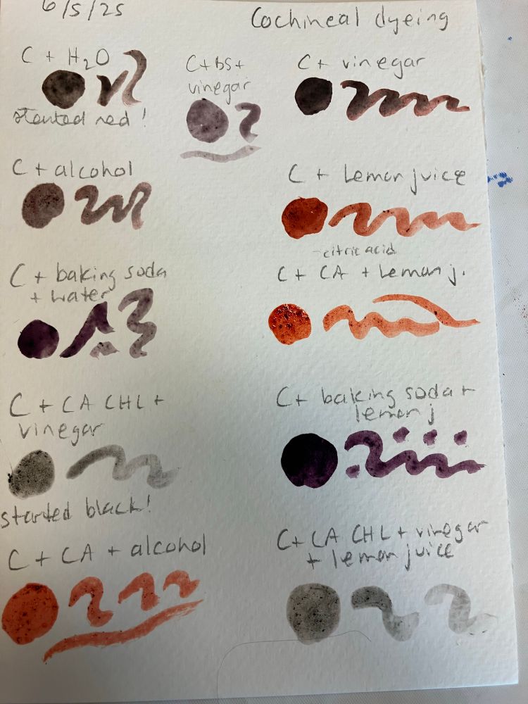 Watercolor paper with paint samples in different colors and the recipe for each mixture, eg cochineal + lemon juice 