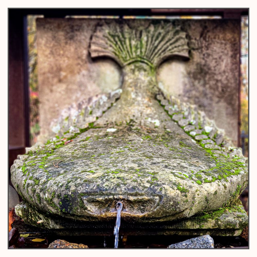 Fisch aus Stein, aus dessen Maul ein Wasserstrahl austritt. Aufnahme frontal, der Körper ist symmetrisch und wird an der Schwanzflosse unscharf. 
Der Stein ist moosbedeckt.