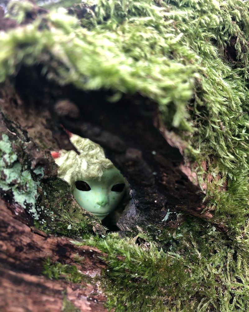 A green faced creature peering through a knothole