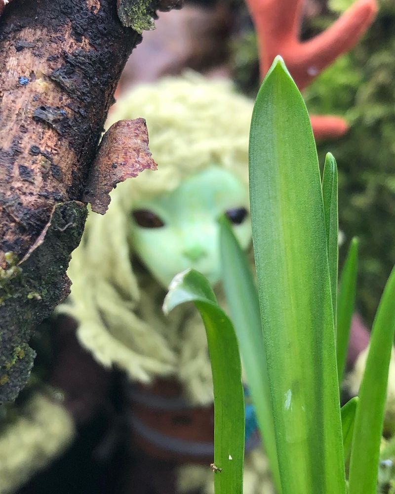 An out of focus green face behind a sprouting bluebell 