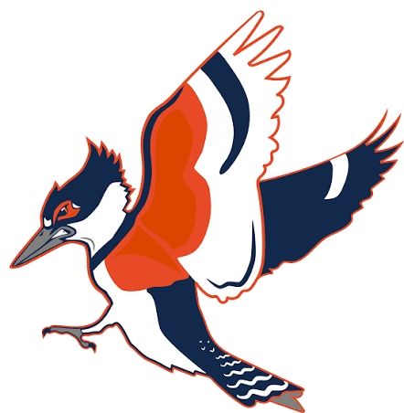 A stylized kingfisher mascot, with the orange and blue accentuated to highlight the UIUC school colors. Adopt this mascot you cowards!