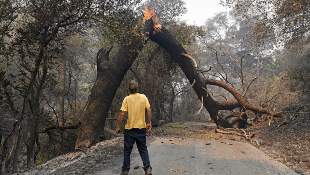 Wildfires are growing under climate change, and their smoke threatens farmworkers, study says