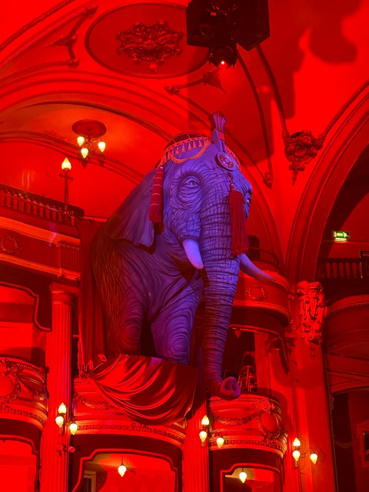 A giant elephant in a theatre box. 