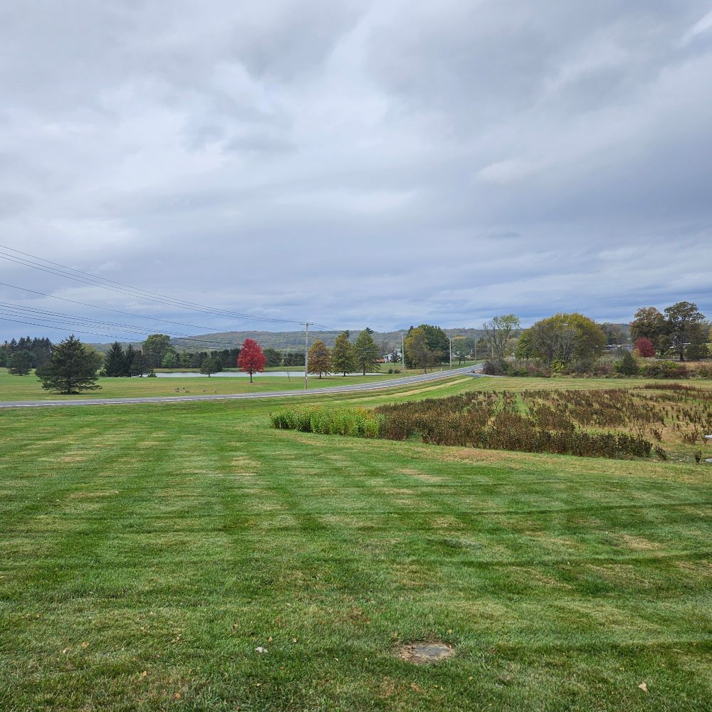 A wide shot of a country landscape under overcast skies. In the foreground is a mown lawn and patch of wilted wildflowers. In the distance are green tree-covered hills. In the middle distance are a pond, scattered trees, a paved road, and one tree with blazing autumnal red leaves. This is the show off.
