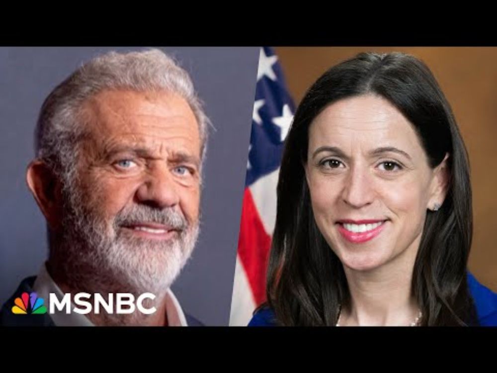 'So frightening': DOJ official fired over Mel Gibson gun rights request speaks out