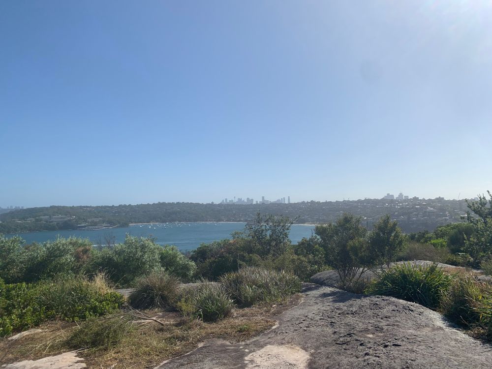 High up across the harbour you can see Sydney skyline in the far distance 