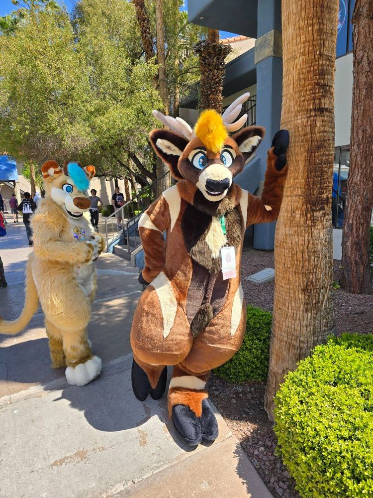 A brown deer fursuiter (Divio) leaning on a palm tree with a lion fursuiter (Vega) in the background.
