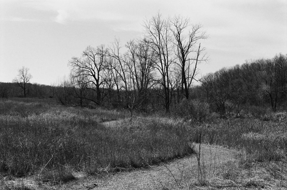 Black and white landscape photo