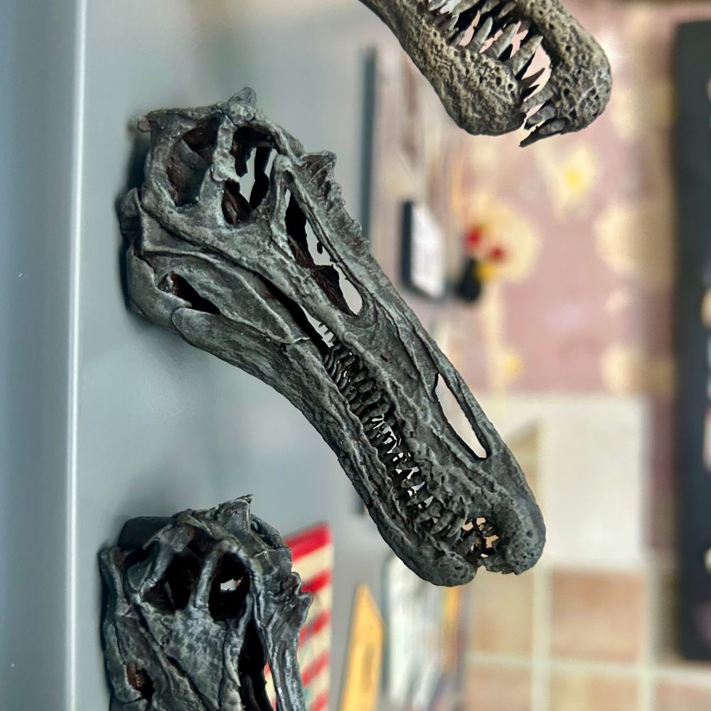 Suchomimus skull fridge magnet
