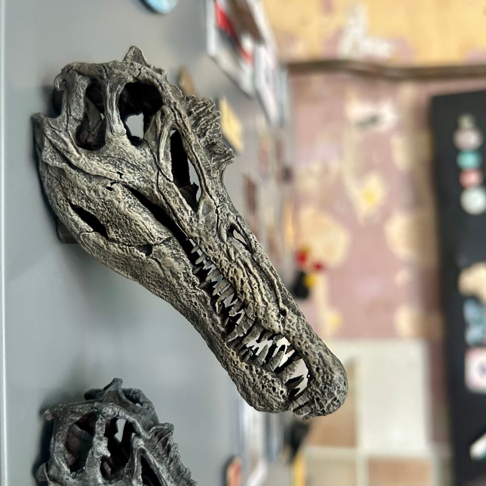 Spinosaurus skull fridge magnet