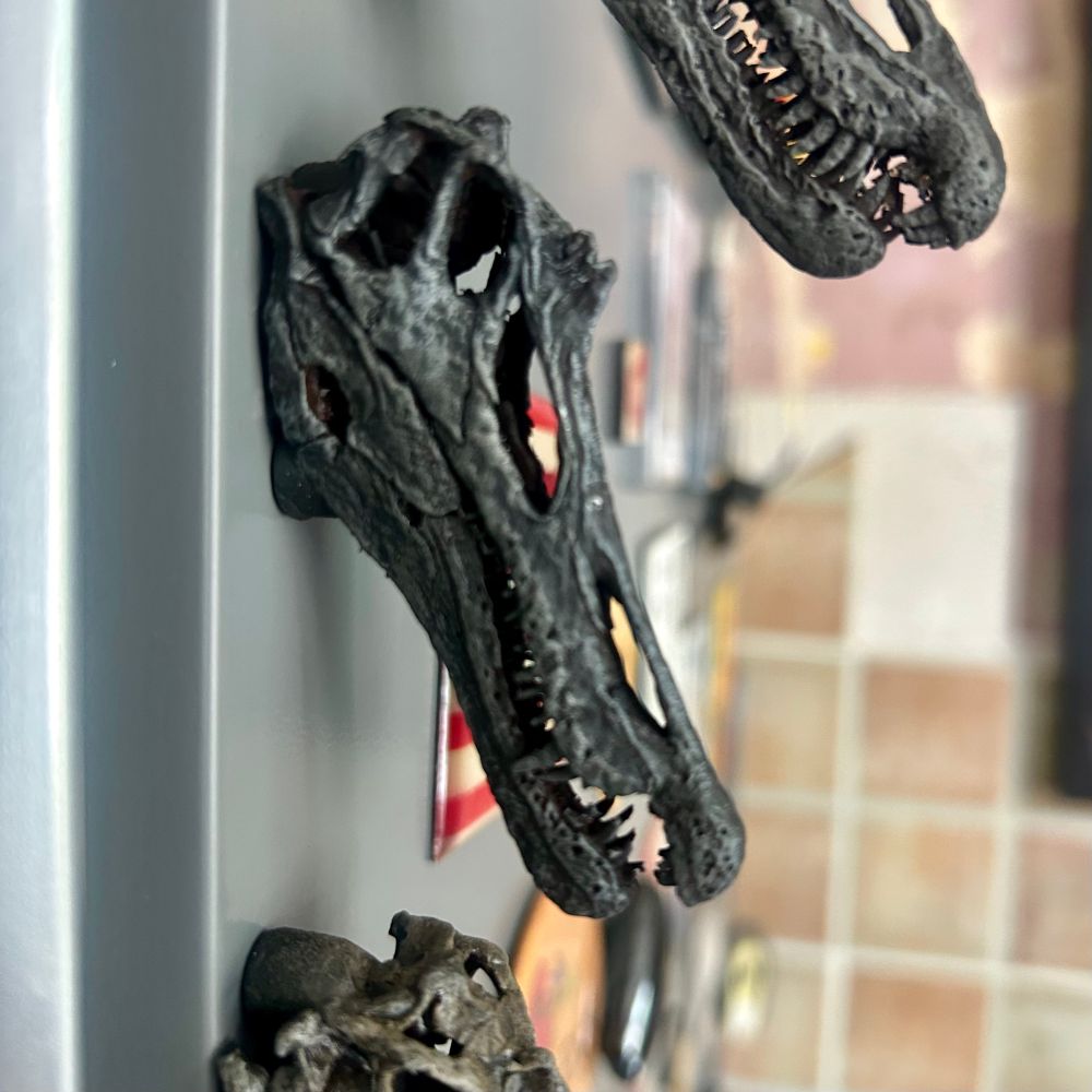 Baryonyx skull fridge magnet