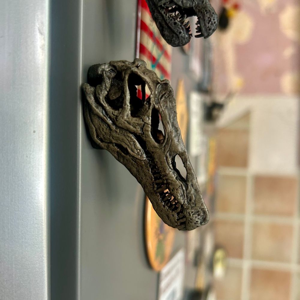 Irritator skull fridge magnet