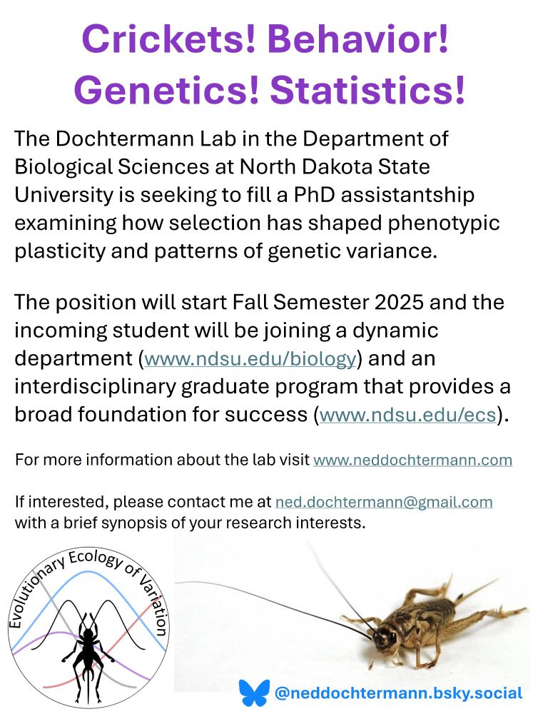 Flier for PhD position. Text with a lab logo at the bottom with a cricket silhouette of a cricket with antenna that look like normal curves. Also has a picture of a cricket (Acheta domesticus) on a white background.
Text:
Crickets! Behavior! 
Genetics! Statistics!

The Dochtermann Lab in the Department of  Biological Sciences at North Dakota State University is seeking to fill a PhD assistantship examining how selection has shaped phenotypic plasticity and patterns of genetic variance. 
The position will start Fall Semester 2025 and the
incoming student will be joining a dynamic department (www.ndsu.edu/biology) and an interdisciplinary graduate program that provides a broad foundation for success (www.ndsu.edu/ecs).

For more information about the lab visit www.neddochtermann.com

If interested, please contact me at ned.dochtermann@gmail.com with a brief synopsis of your research interests.

@neddochtermann.bsky.social
