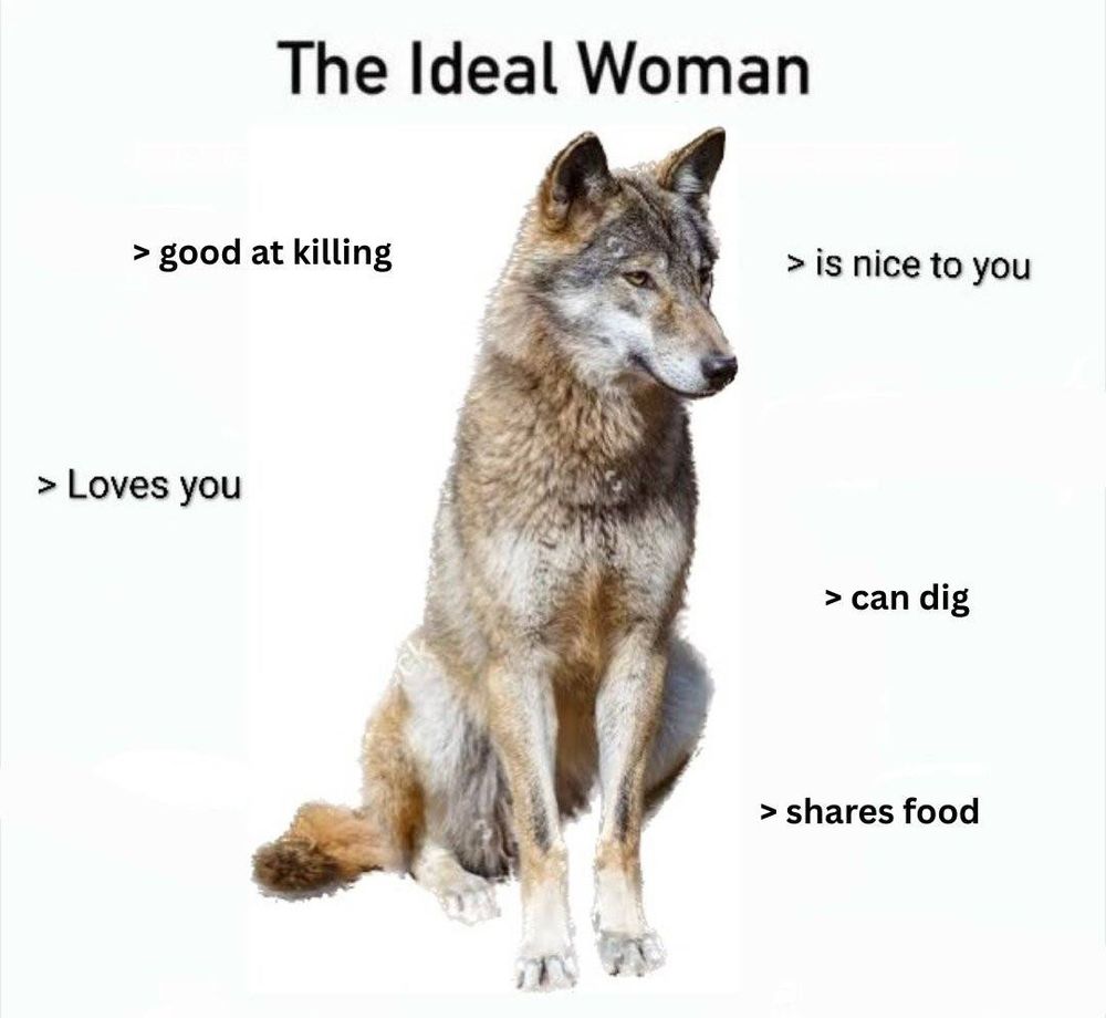 picture of a wolf sitting. caption above reads "The Ideal Woman", various smaller captions around the wolf read ">good at killing", ">Loves you", ">is nice to you", ">can dig", and ">shares food"