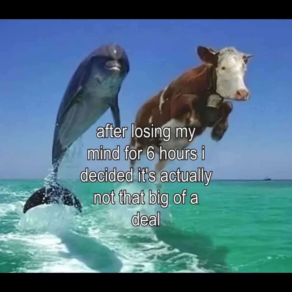 a picture of a dolphin and a cow leaping out of the turquoise water. the caption says "after losing my mind for 6 hours i decided it's actually not that big of a deal"