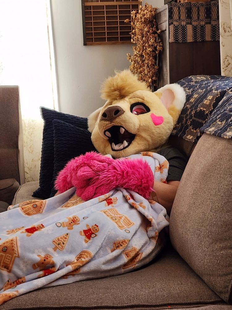 Napple laying down on a couch all snuggled up in a blanket after Thanksgiving
