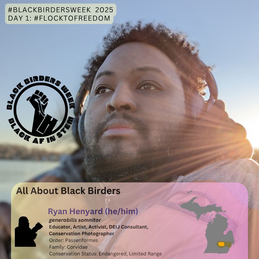 a #blackbirdersweek profile image of Ryan, with the hashtag #flocktofreedom for Day 1; the Black AF In Stem logo is superimposed on a 3/4 headshot of Ryan, a large Black masc wearing headphones and holding a camera; the lower third is an 'All About Black Birders' card with a silhouette of Ryan, and the details 'Ryan Henyard (he/him) - generabilis somnitor; Educator, artist, activist, deij consultant, conservation photographer. Order: passeriformes. Family: Corvidae. Conservation status: Endangered, Limited Range