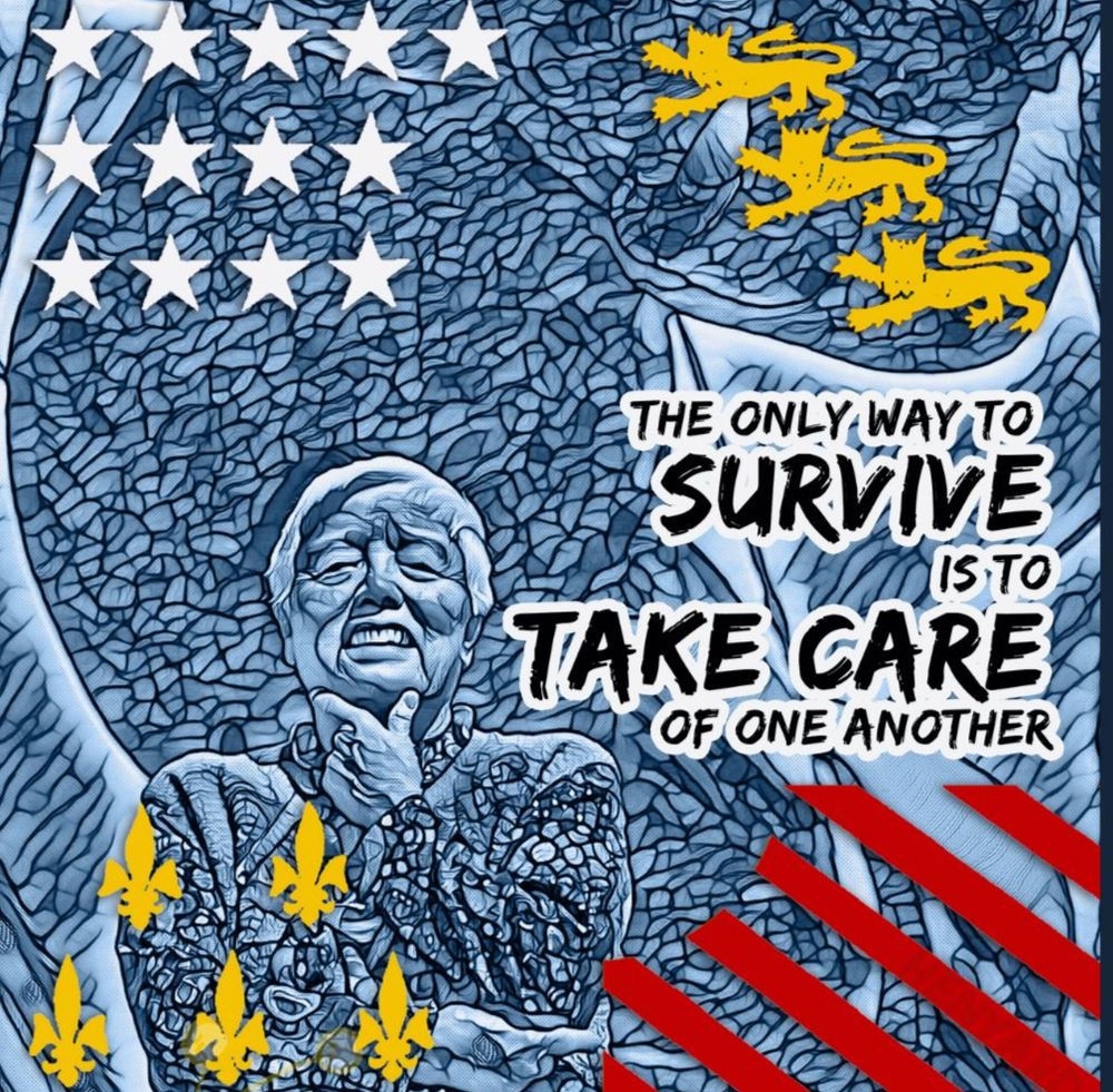 political poster by me, 'survive' - mosaic art of grace lee boggs with the quote 'the only way to survive is to take care of one another' with elements of the flag of the City of Detroit overlaid the image.